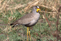 Pointe Saint-Georges